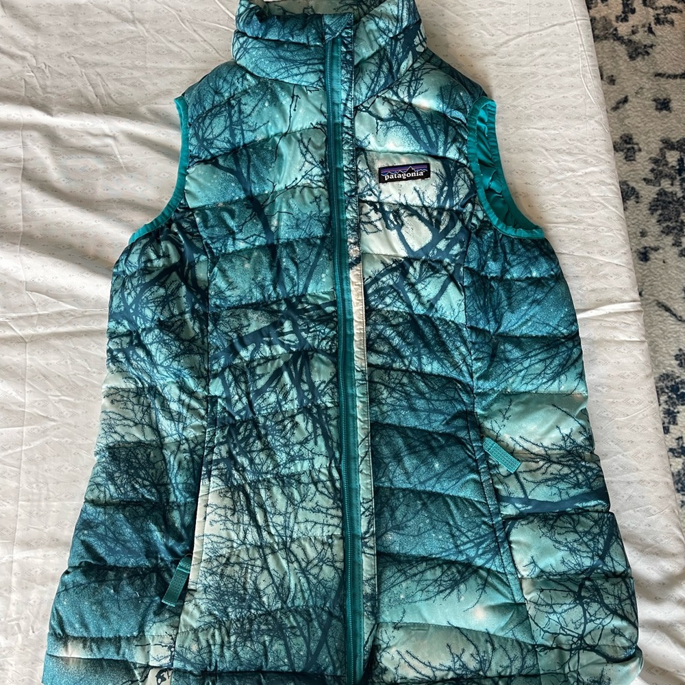 Patagonia Women’s Size Medium Blue and Green Teal Fall and Winter Vest